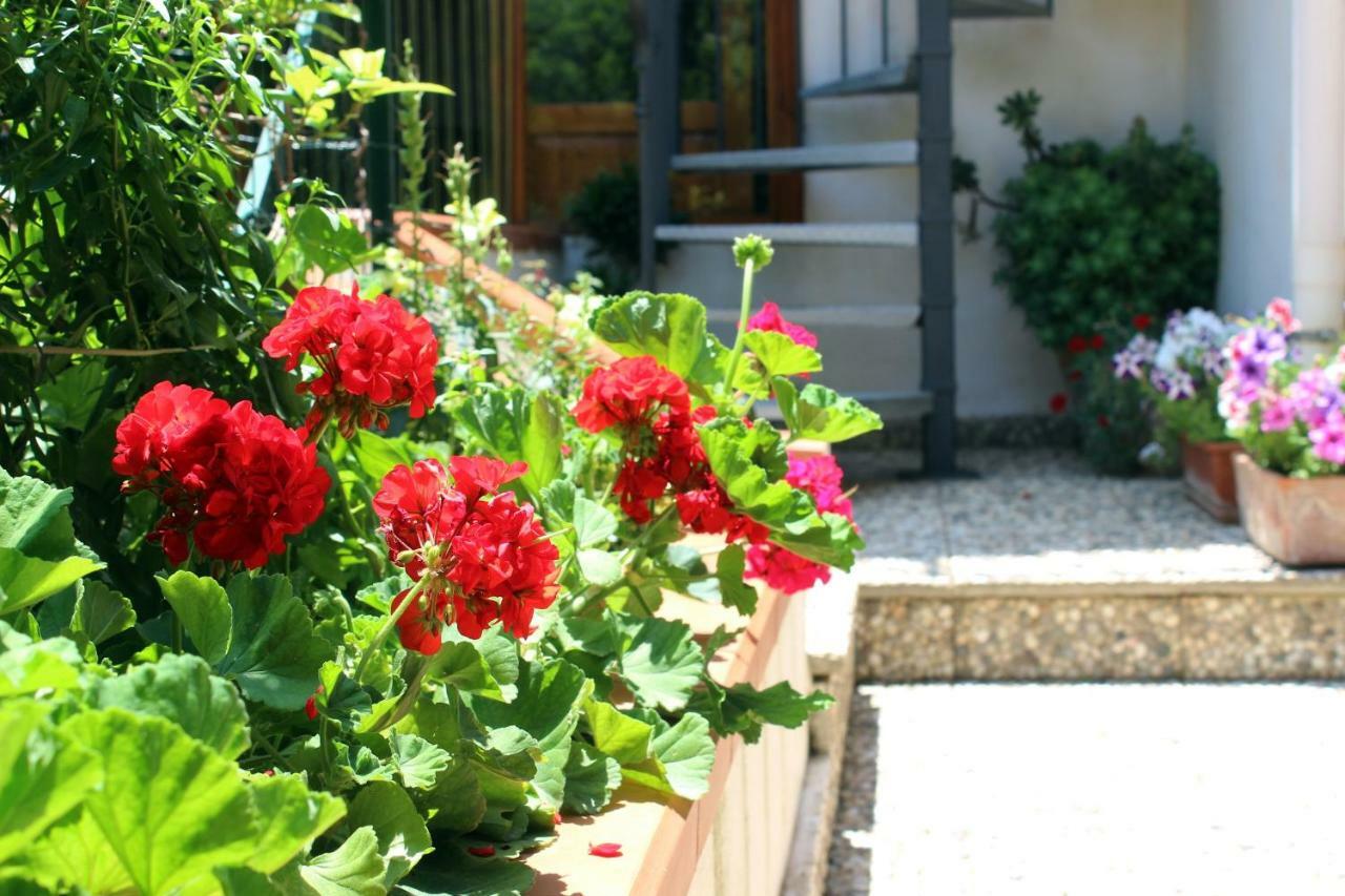 Raggio Di Sole Bed & Breakfast Macari Bagian luar foto
